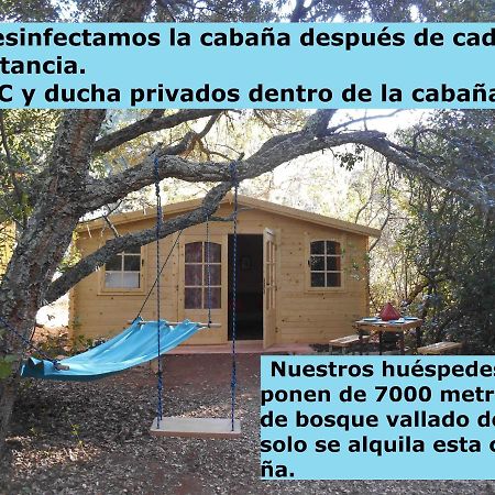 La Cabana Del Alcornoque Córdoba Eksteriør bilde