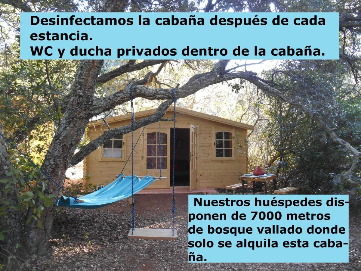 La Cabana Del Alcornoque Córdoba Eksteriør bilde