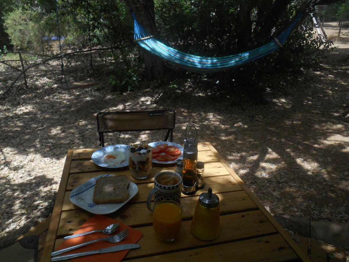 La Cabana Del Alcornoque Córdoba Eksteriør bilde