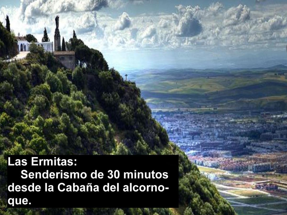 La Cabana Del Alcornoque Córdoba Eksteriør bilde